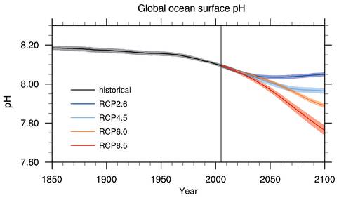 Alle klimaatscenario’s laten een wereldwijde oceaanverzuring zien voor het einde van de 21e eeuw. Figuur: IPCC [2013].