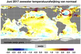 Figuur 1: Zeewatertemperatuur afwijking ten opzichte van normaal (⁰C) voor de maand Juni. De rode cirkel geeft de ligging van de “koude wervel” weer. Bron: cpc.noaa.gov