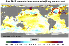 Figuur 1: Zeewatertemperatuur afwijking ten opzichte van normaal (⁰C) voor de maand Juni. De rode cirkel geeft de ligging van de “koude wervel” weer. Bron: cpc.noaa.gov