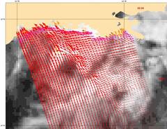 Windveld behorende bij de orkaan Harvey op 28 augustus. Duidelijk is het gebied van windconvergentie te zien waar de pijlen naar elkaar toewijzen © EUMETSAT/KNMI