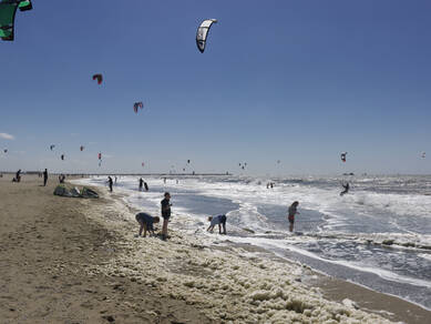 foto van mensen op het strand