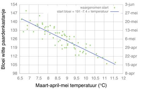 Relatie bloeitijd witte paardenkastanje en voorjaarstemperatuur