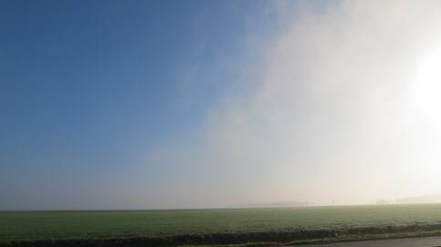 Figuur 1. Zeevlam, een muur van mist. Foto: Jannes Wiersema.