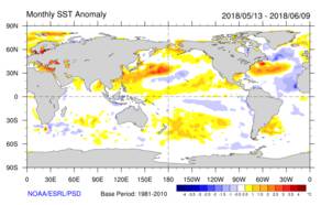 Figuur 1. Zeewatertemperatuur anomalieën van de afgelopen maand.