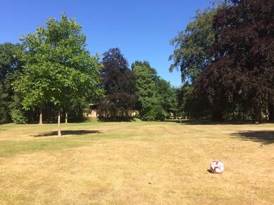 Droogte, juni 2018. Foto: Femke Goutbeek
