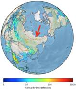 Kaart van het aantal keren dat branden gedetecteerd werden door het MODIS satellietinstrument in 2019. Het aantal branden boven de poolcirkel was hoger dan in alle andere jaren sinds 2003.