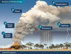 Schematisch overzicht van de dynamiek van pyrocumulonimbus-wolken.