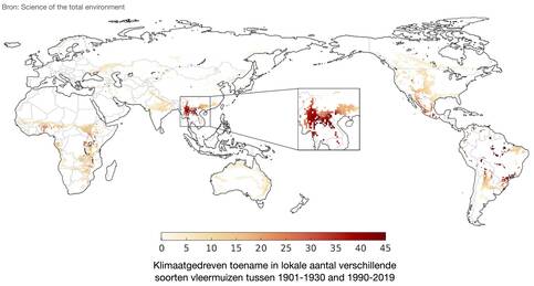 Toename van vleermuissoorten door klimaatverandering