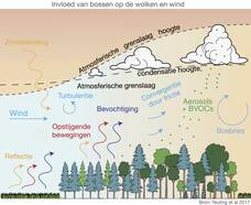 Schema van processen boven bossen die bosbries veroorzaken