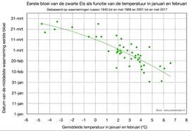 grafiek met de mediaanwaarden van de eerste elzenbloeiwaarneming in Nederland in relatie tot de gemiddelde temperatuur in januari en februari 
