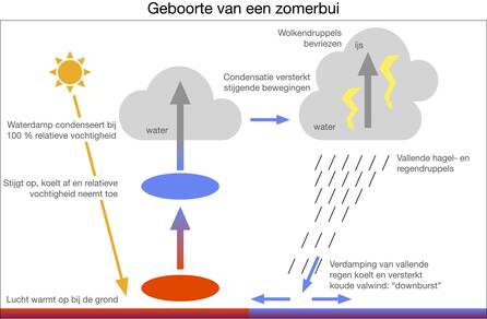Schematisch overzicht van alle processen die een rol spelen bij de vorming en ontwikkeling van een zomerbui
