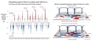 Met gekleurde staafjes is per maand in een grafiek aangegeven of El Niño of La Niña aanwezig was vanaf 1950 tot nu. Twee illustraties laten de afwijkingen in de zeewatertemperatuur en wind zien tijdens El Niño en La Niña.