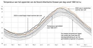 Tijdseries van de dagelijkse temperatuur van de Noord-Atlantische Oceaan als functie van de dag in het jaar vanaf 1982 tot nu. 