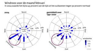 Windroos die laat zien hoe vaak de wind in februari uit een bepaalde richting waaide en met welke sterkte, links voor februari 2024, rechts voor alle februari maanden in de periode 1991-2020. Het waaide in 2024 vaker uit zuidwestelijke richting.