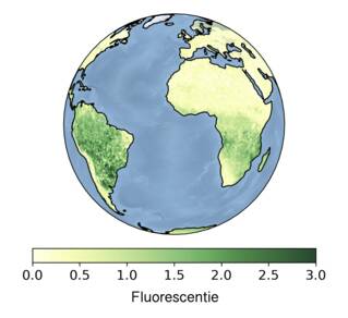 Plaatje van de hoeveelheid fluorescentie over een deel van de aarde 