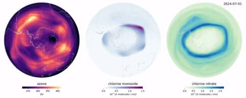 Animatie van de hoeveelheid ozon (links) en gassen die een rol spelen bij de ozon afbraak, choor monoxide en chloor nitraat. ©Copernicus
