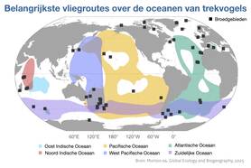 Wereldkaart met de zes belangrijkste oceaanvliegroutes die zeevogels gebruiken om hun broedgebieden te bereiken (zwarte vierkanten). Bewerkt van Morten ea (2025).