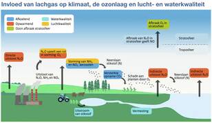 Schematische weergave van de effecten van menselijke stikstof-uitstoot op lachgas, de ozonlaag, en water- en luchtkwaliteit
