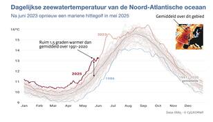 Lijngrafiek met voor ieder jaar van 1979 tot nu een lijntje met de dagelijkse temperatuur in het noordoostelijke deel van de Noord-Atlantische Oceaan van 1979 tot en met 31 mei 2025.