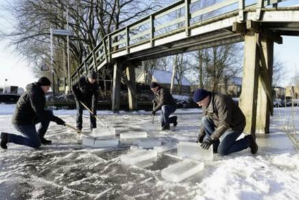 IJstransplantatie langs de route van de Elfstedentocht