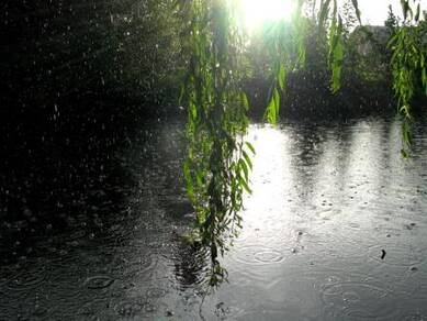 Na regen komt zonneschijn (Foto: J.C. Hulspos, Gouda)