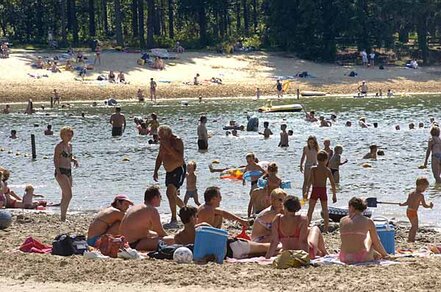 Bij recreatieplas "het Hulsbeek" bij Oldenzaal op zoek naar verkoeling in de zomer van 2004