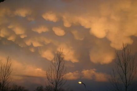 Buidelvormige wolken (mammatus) aan de onderkant van een buienwolk (foto: Henk vd Weijden, Gouda)