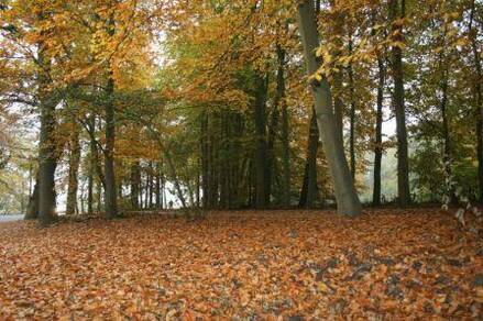 De herfst kan nog mooi nazomerweer bieden (foto: Jannes Wiersema)