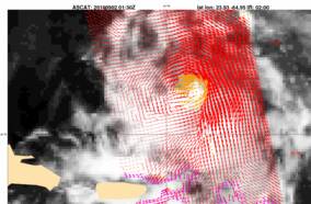 Satellietwaarnemingen van het ASCAT-radarinstrument waar het KNMI verantwoordelijk voor is. Deze windmetingen tonen de kleine maar duidelijke circulatie van Fiona. Bron: KNMI
