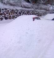 Op het Deense eiland Bornholm viel meer dan een meter sneeuw. Zelfs de sneeuwschuivers hadden er met moeite mee (foto: Michael Holm, VWK)