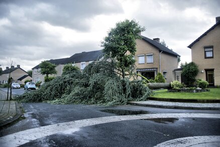 Schade na de windhoos in Montfort (Foto: Thieu Smeets)