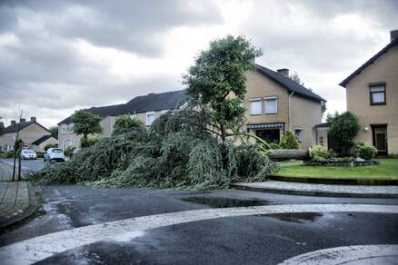 Schade na de windhoos in Montfort (Foto: Thieu Smeets)