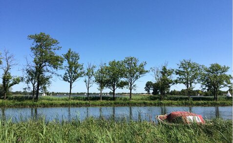 Reeuwijkse plassen tijdens zomer 2015. Foto Geert Jan van Oldenborgh/KNMI