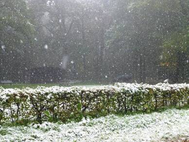 Sneeuw in het Vijlerbosch op 14 oktober 2015 in Limburg. Foto Jan Brouwers L1/Meteo Limburg