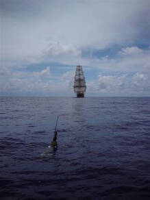 Een van de Nederlandse Argo floats, uitgezet vanaf de Beagle