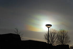 Parelmoerwolken op 2 februari 2016 in de middag waargenomen in Deventer. ©Peter Paul Hattinga Verschure