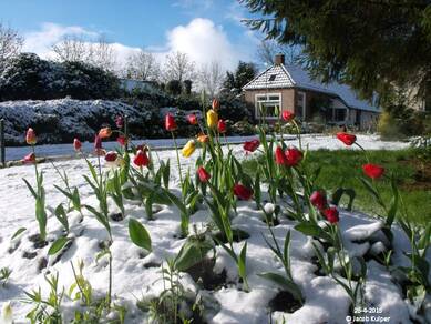 Sneeuw op 26 april. Foto: Jacob Kuiper