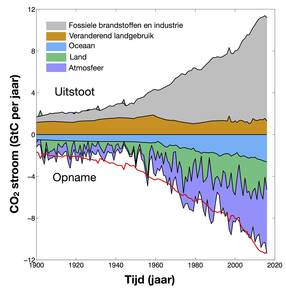 koolstofkringloop sinds 1900