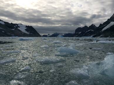 Figuur 2. Overblijfselen van afkalvende gletsjers in Hornsund, Spitsbergen. Bron:  R. Bintanja.