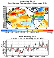 Opvallend lage zeewatertemperatuur in juni en juli.
