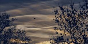 parelmoerwolken op eerste kerstdag 2018
