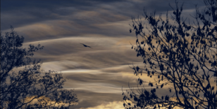 parelmoerwolken op eerste kerstdag 2018