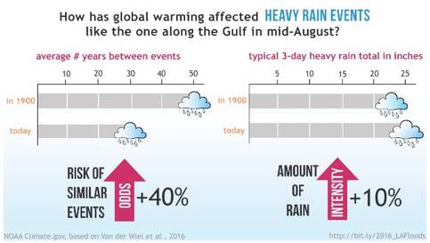 Schematische weergave 