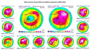 De waargenomen dikte van de ozonlaag in maart 2020 boven de Noordpool vergeleken met 2019 en de periode 2009-2018 (maandgemiddelden).
