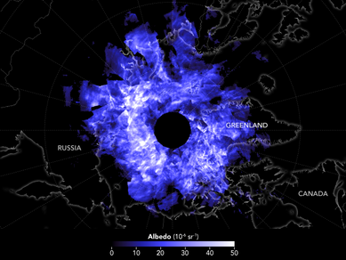 Figuur 2. Reflectie door mesosferische ijsdeeltjes op het Noordelijk halfrond op 12 juni 2019 gemeten door NASA AIM satelliet (Aeronomy of Ice particles in the Mesosphere). Bron: NASA.