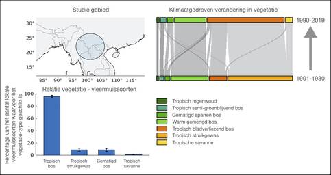 Relatie klimaatverandering - vegetatie - vleermuissoorten