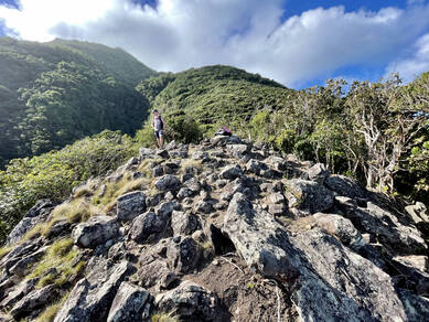 Foto van de plek waar het station gebouwd gaat worden