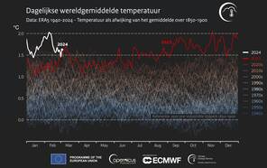 Lijngrafiek van de dagelijkse wereldgemiddelde temperatuur tussen 1940-2024 als afwijking van het gemiddelde over 1850-1900.