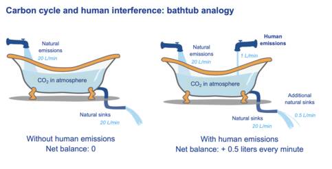Bad analogie voor de koolstofcyclus