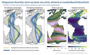Kaarten van berekende en waargenomen vliegroutes van de Noordse stern van de Zuidpool naar de broedgebieden op Spitsbergen en in Nederland en kaarten van de wind en voedselbeschikbaarheid in de lente.